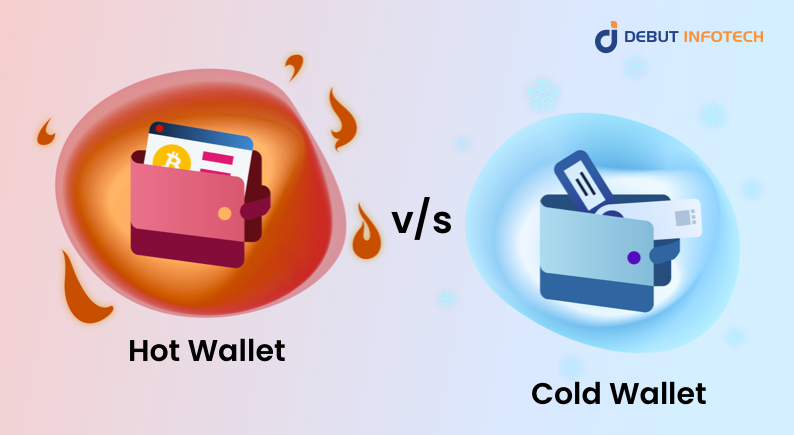 hot wallets & cold wallets