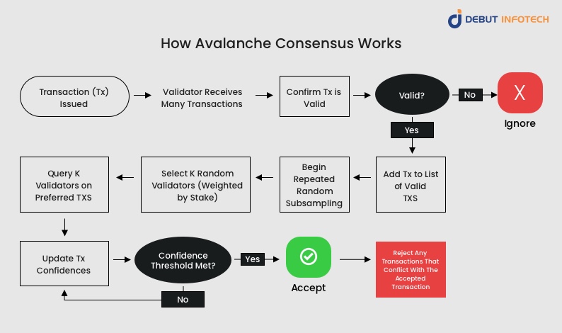 How Avalanche Consensus Mechanism works