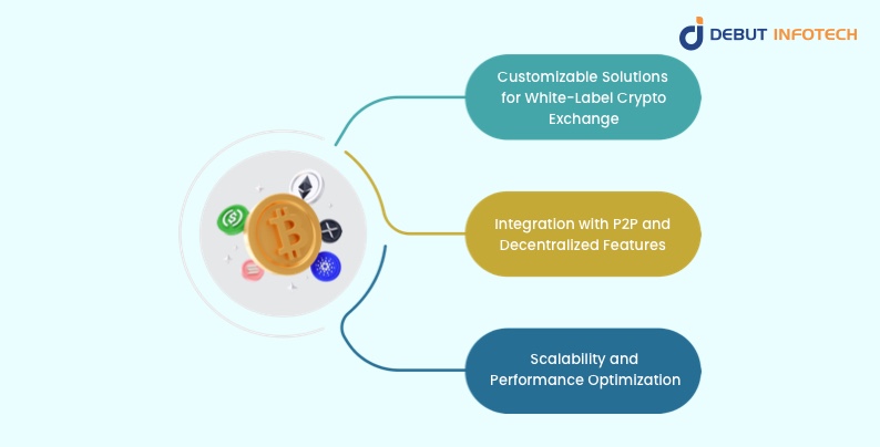 Role of Centralized Crypto Exchange Development