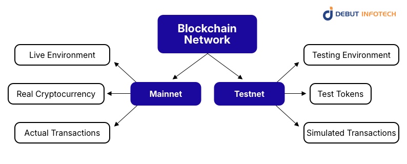 Test Your Smart Contract
