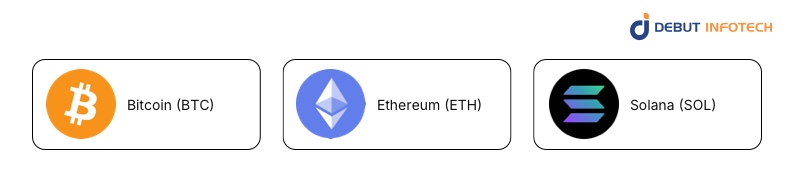Which Blockchains Are Considered the Most Promising for Investment?